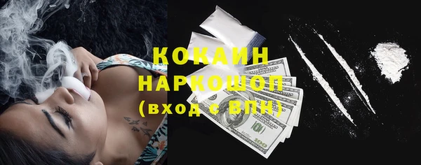 прущие грибы Белокуриха