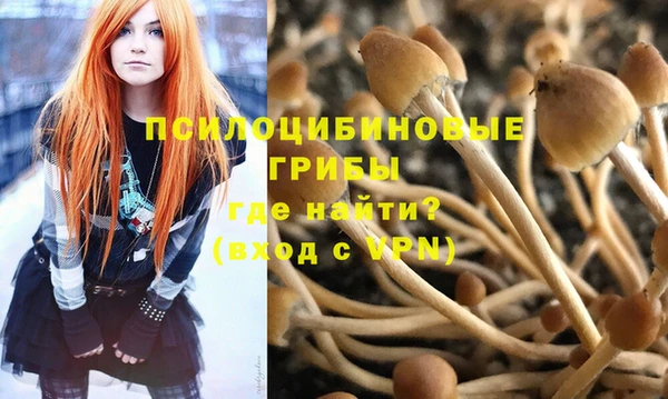 apvp Белоозёрский