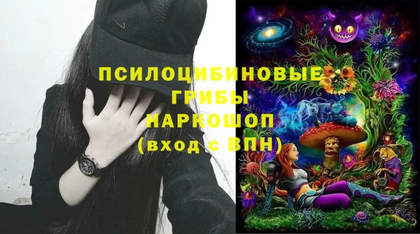 прущие грибы Белокуриха