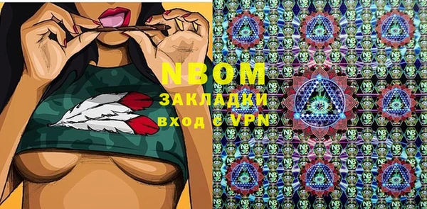 прущие грибы Белокуриха