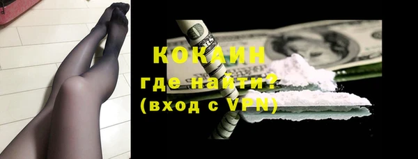 прущие грибы Белокуриха