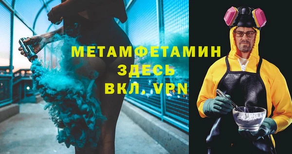 прущие грибы Белокуриха