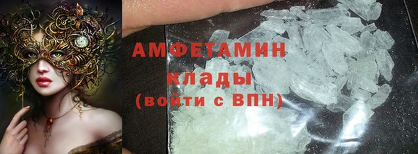 прущие грибы Белокуриха