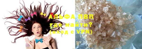 прущие грибы Белокуриха
