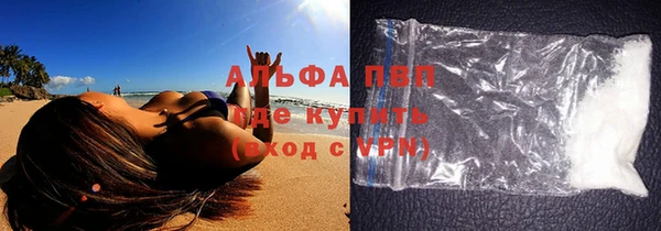 прущие грибы Белокуриха