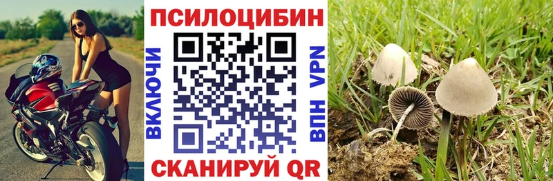 МЕГА tor  что такое наркотик  Купино  Галлюциногенные грибы Psilocybine cubensis 