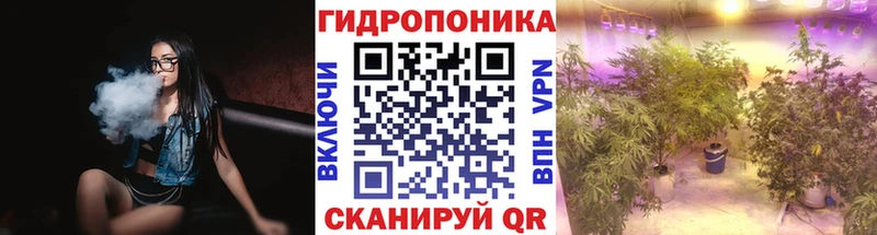 Конопля Amnesia  купить наркотик  Купино 